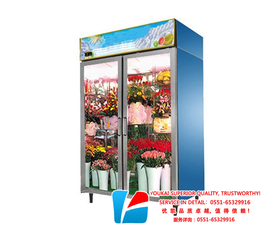 大二門(mén)鮮花保鮮柜